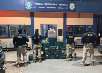 Motorista é flagrado levando meia tonelada de cocaína em caminhão no Pará