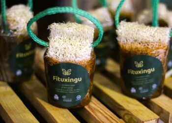 Foto: Divulgação / Norte Energia