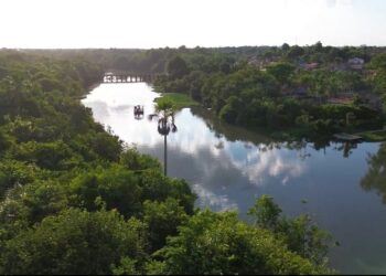 Rio Acará Mirim, onde tio e sobrinho desapareceram, no Pará. — Foto: Rafael Mendonça