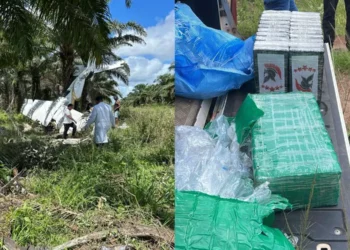 A imagem em destaque mostra o avião que caiu (à esquerda) e a droga que a aeronave transportava (à direita). (Foto: Reprodução | Redes sociais)