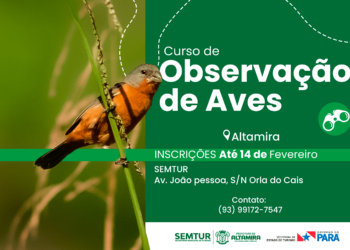 Curso de Observação de Aves qualifica profissionais de ecoturismo em Altamira (PA)