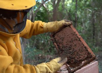 Foto: Ezequias Alves / Ascom PMA