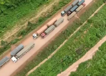 Colapso na Transamazônica: Filas de carretas de 30 km bloqueiam rodovia e prejudicam moradores no sudoeste do Pará