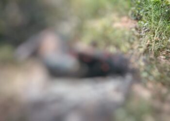 Corpo de homem é encontrado carbonizado em Altamira, no Pará