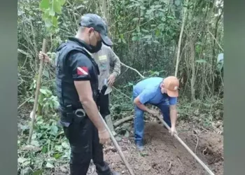 Corpo foi encontrado em uma área de mata no município de Belterra, no oeste do Pará (Foto: Jornal O Impacto)