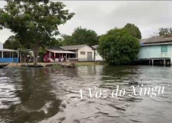 Cheia do Rio Xingu atinge níveis críticos em Senador José Porfírio e preocupa moradores de Vila Nova