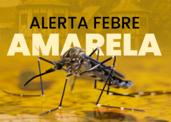 Altamira promove dia D de vacinação contra a Febre Amarela