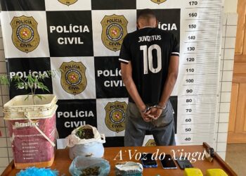 Altamira: Homem é preso em Castelo de Sonhos acusado de tráfico de drogas