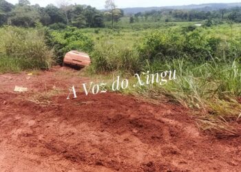 Medicilândia: Motorista perde o controle na BR-230 e carro sai da pista, parando em matagal