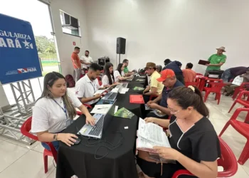 Mutirão do Cadastro Ambiental Rural beneficia mais de 100 produtores rurais em Altamira, no PA