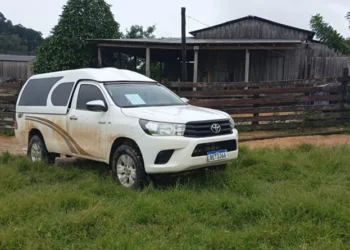 Homem é encontrado morto em fazenda na zona rural de Novo Progresso, no PA