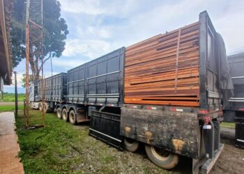 Foto: PRF/Divulgação