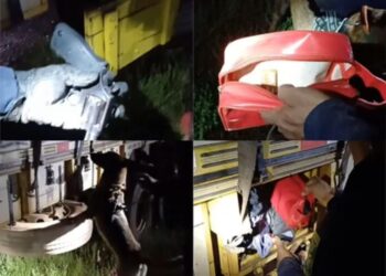 Cão farejador Uchiha localizou os entorpecentes e a arma escondidos na carga de sucata. (Imagem: Ascom PRF).