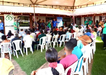 Foto: Divulgação / Agência Pará