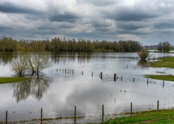 Rio Xingu atinge nível de emergência e concessionária alerta sobre riscos à rede elétrica