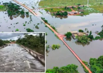 Nos últimos meses, as chuvas frequentes causaram o transbordamento do rio Xingu e de seus afluentes, afetando comunidades ribeirinhas, aldeias indígenas e pequenos produtores rurais. De acordo com a Defesa Civil Municipal e a Secretaria Executiva Municipal de Trabalho e Promoção Social, 8.948 pessoas foram impactadas, sendo 1.792 desalojadas. (Divulgação/ Prefeitura de São Félix do Xingu)