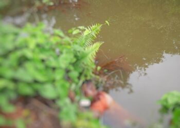 Foto: Reprodução das Redes Sociais