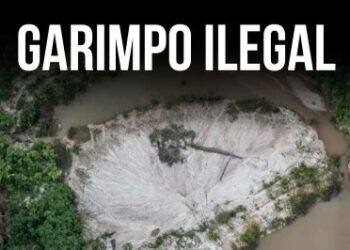 Foto: Vinícius Mendonça/arquivo Ibama 2018 - licença CC BY-SA 2.0