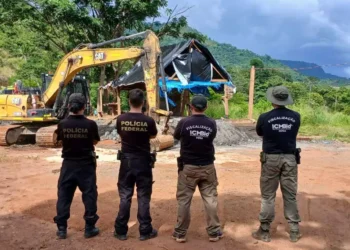 A imagem em destaque mostra policiais federais e servidores do ICMBio no local alvo da operação. (Foto: Divulgação | Ascom PF)