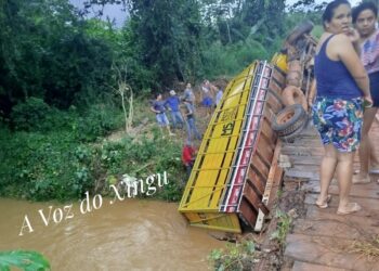 Caminhão boiadeiro cai em ponte de madeira sobre o Rio Santa Marina, em Medicilândia