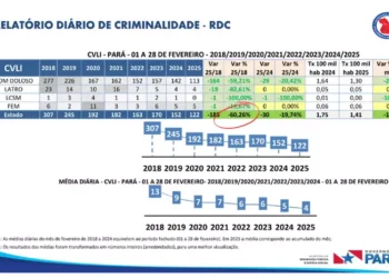 Gráfico mostra detalhes da redução nos crimes violentos letais ao longo dos anos (Foto: ASCOM / PMPA)