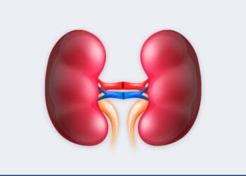 Dia D do Rim: Prefeitura promove ação sobre a saúde renal