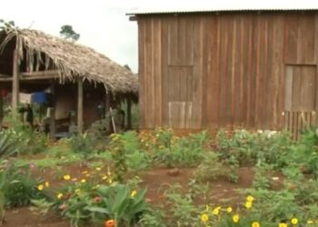 Assassinato de líder agrário reacende alerta sobre conflitos fundiários em Anapu, no Parpa