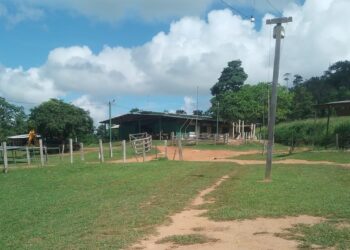 Base de agentes federais na TI Apyterewa, no Pará. — Foto: Reprodução