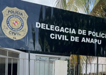 Homem é preso por tráfico de drogas em Anapu