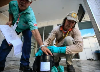 Ministério da Saúde reforça medidas contra a dengue no Pará