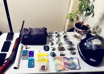 Apreensão dos materiais — Foto: PCPA