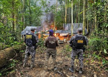 ICMBio e Força Nacional desarticulam três garimpos ilegais em APA no Pará. — Foto: Reprodução / ICMBio