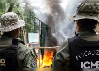 Processo seletivo do ICMBio oferece vagas para atuação ambiental no Pará. | Divulgação/ICMbio