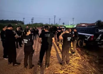 Operação "Impacto" em Ulianópolis cumpriu 11 mandados de busca e apreensão e um de prisão. (Polícia Civil / Divulgação)