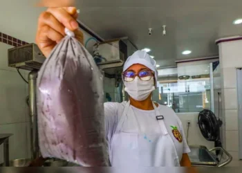 O objetivo da nova Lei é facilitar a fiscalização por órgãos competentes e promover a uniformização dos padrões de qualidade | David Alves/Agência Pará