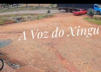 Colisão entre picape e caminhão na Transamazônica deixa danos materiais, mas nenhum ferido