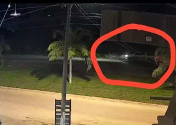 Foto: reprodução do portal Gazeta Real