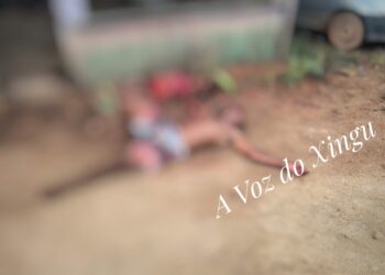 Mulher é morta e degolada pelo marido na Sexta-feira Santa, em Anapu, no Pará