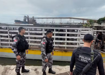 Embarcação utilizada para transporte de gado foi interceptada durante operação policial no rio Amazonas — Foto: Blog do Siki