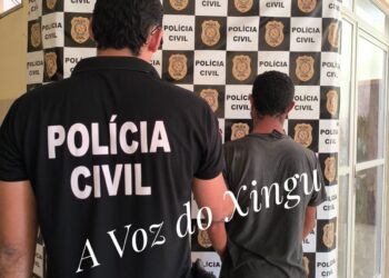 Polícia prende suspeito de furto e recupera 4 celulares em Senador José Porfírio, no PA