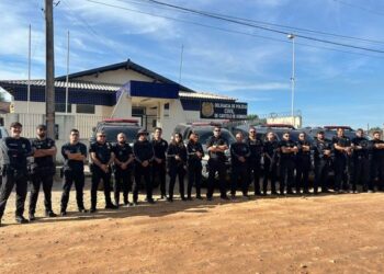 O grupo é acusado de atuar em pontos estratégicos de distribuição de drogas na região da Transamazônica.(Imagem: PC).