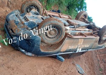 idoso é encontrado morto em estado de decomposição na zona rural de Uruará (PA)