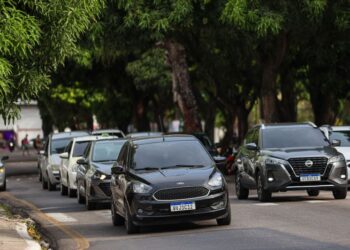 Foto: Rodrigo Pinheiro / Ag.Pará
