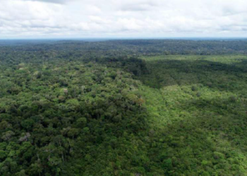 Foto: Divulgação/MPPA