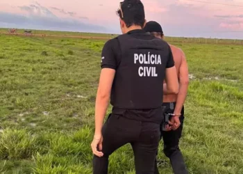 PC do Pará deflagra operação ‘Muralha Estadual’ para cumprir mais de 300 mandados judiciais