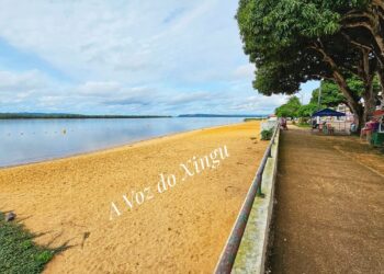 Foto: Wilson Soares / A Voz do Xingu