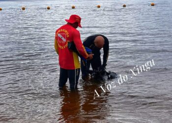 Corpo de adolescente desaparecido no Rio Xingu é encontrado em Altamira (PA)