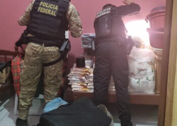 Um celular foi apreendido pela PF durante buscas contra suspeito de ataque a indígenas no Pará — Foto: Polícia Federal/Divulgação