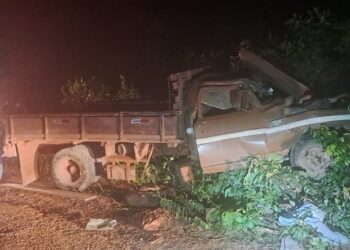 Caminhonete foi para em área com mato, à beira da estrada