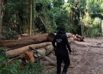 Agentes da PC em combate a crimes ambientais em cinco cidades do Pará. (Foto: Po9lícia Civil)